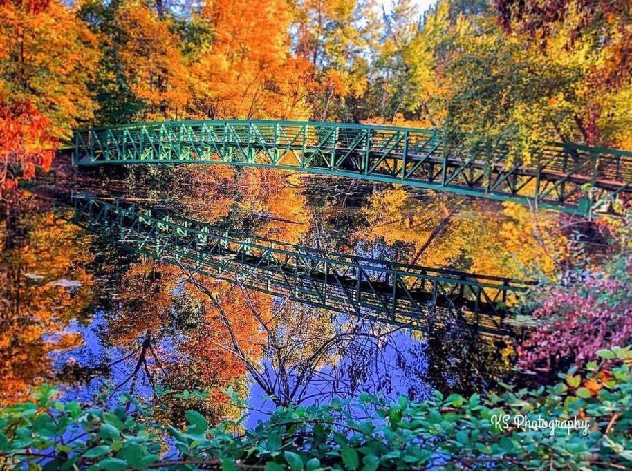 Bear Mountain - Suite 7 Grants Pass Bagian luar foto